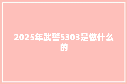 2025年武警5303是做什么的