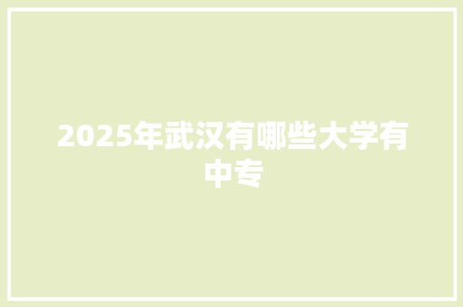 2025年武汉有哪些大学有中专