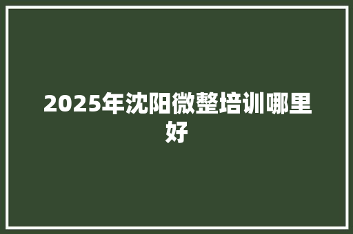 2025年沈阳微整培训哪里好