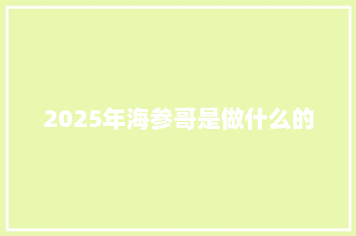 2025年海参哥是做什么的 演讲稿范文