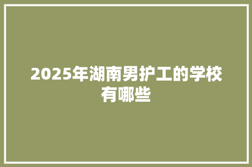 2025年湖南男护工的学校有哪些