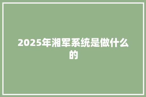 2025年湘军系统是做什么的 职场范文