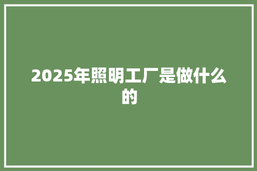 2025年照明工厂是做什么的