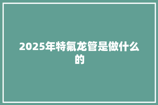 2025年特氟龙管是做什么的