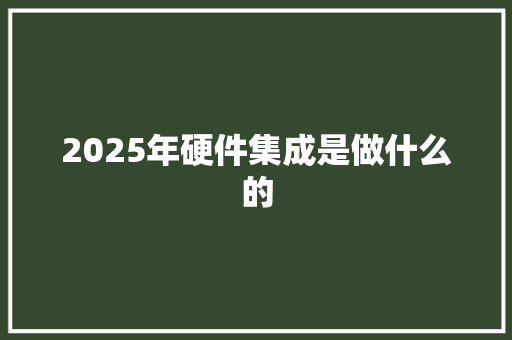 2025年硬件集成是做什么的