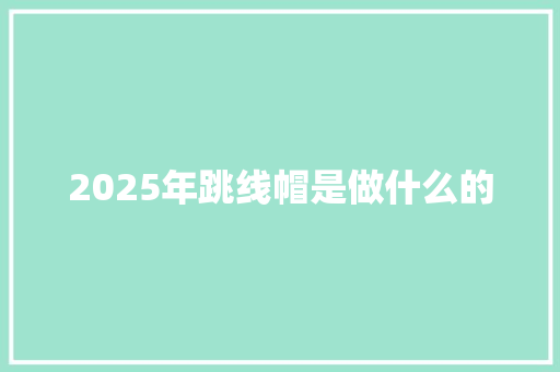 2025年跳线帽是做什么的