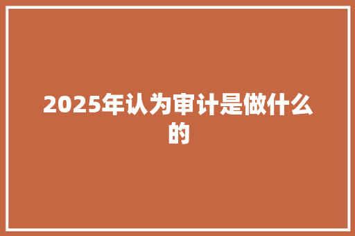 2025年认为审计是做什么的