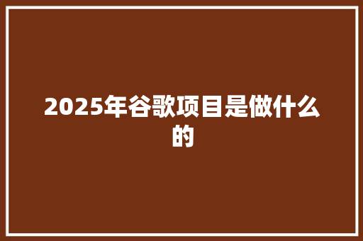 2025年谷歌项目是做什么的