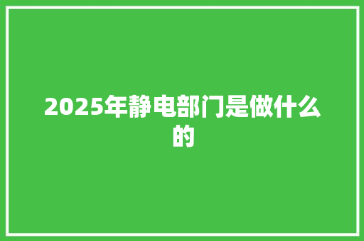 2025年静电部门是做什么的