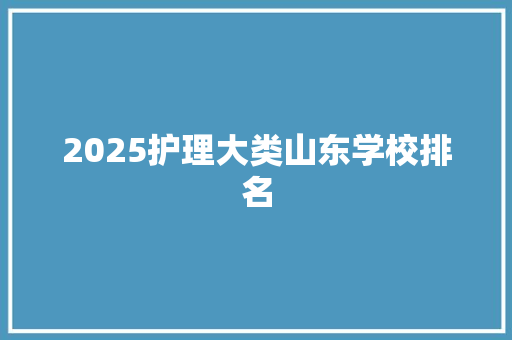 2025护理大类山东学校排名