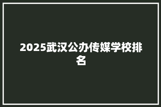 2025武汉公办传媒学校排名