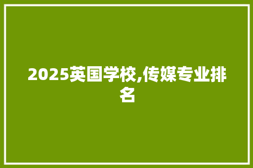 2025英国学校,传媒专业排名