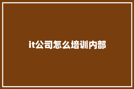 it公司怎么培训内部