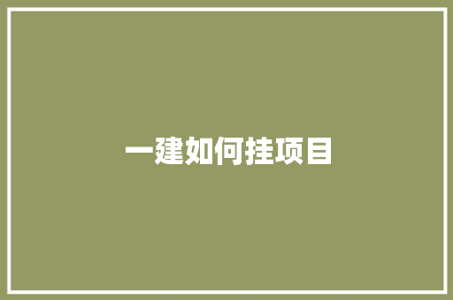 一建如何挂项目 职场范文