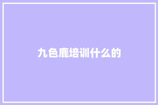 九色鹿培训什么的