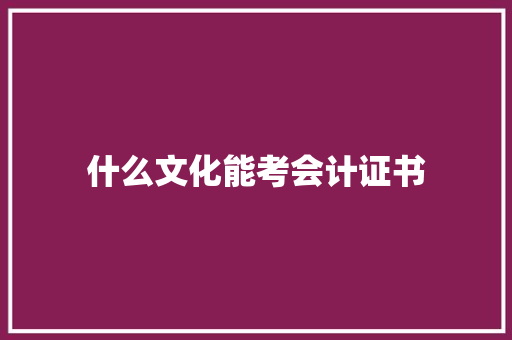 什么文化能考会计证书 职场范文