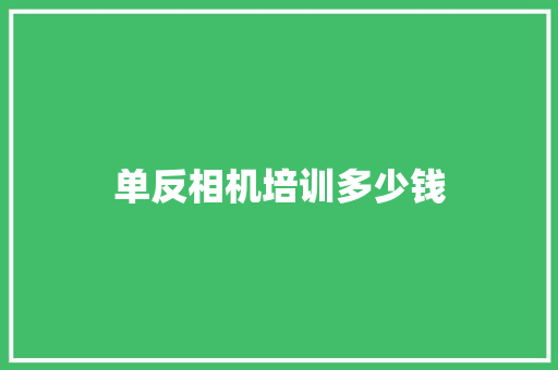 单反相机培训多少钱 会议纪要范文