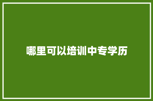 哪里可以培训中专学历