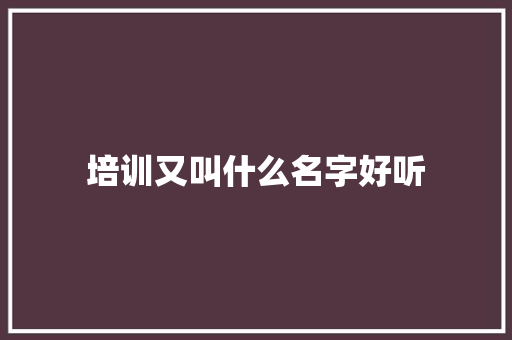 培训又叫什么名字好听