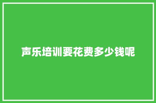 声乐培训要花费多少钱呢