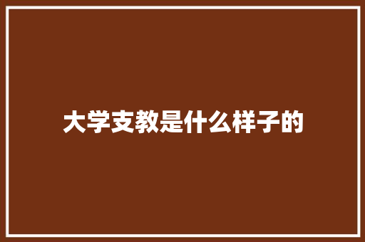 大学支教是什么样子的 报告范文