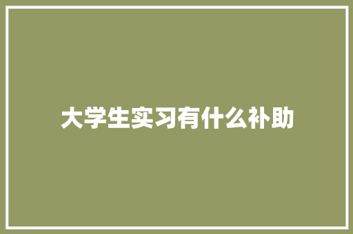 大学生实习有什么补助