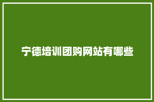 宁德培训团购网站有哪些