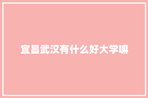 宜昌武汉有什么好大学嘛