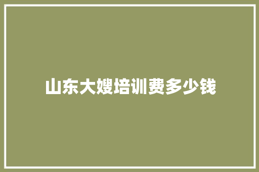 山东大嫂培训费多少钱