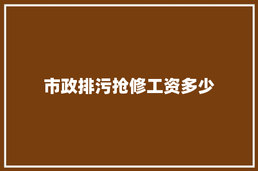 市政排污抢修工资多少 申请书范文