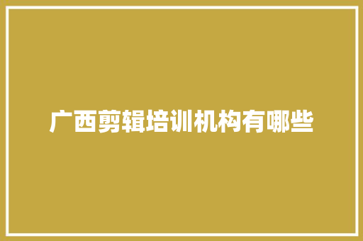 广西剪辑培训机构有哪些 工作总结范文