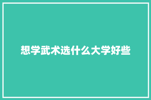 想学武术选什么大学好些