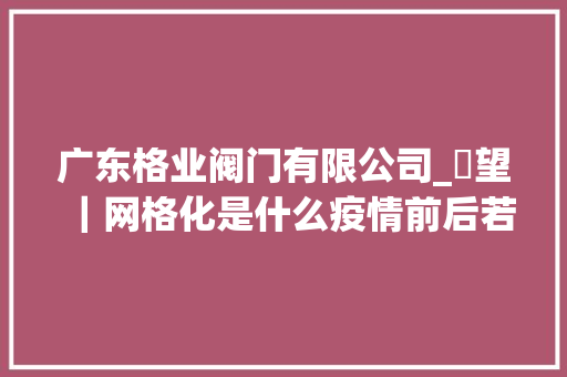 广东格业阀门有限公司_瞭望｜网格化是什么疫情前后若安在基层治理中发挥浸染