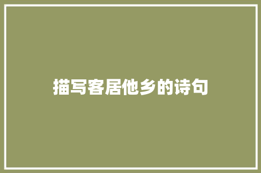 描写客居他乡的诗句 会议纪要范文