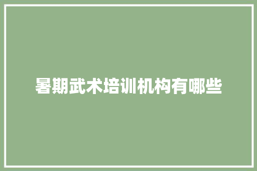 暑期武术培训机构有哪些