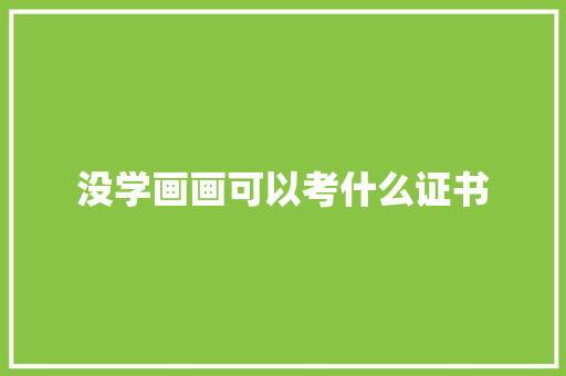 没学画画可以考什么证书 学术范文