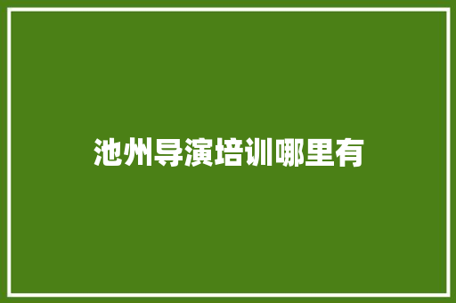 池州导演培训哪里有