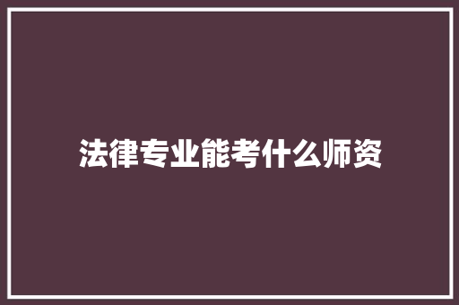 法律专业能考什么师资