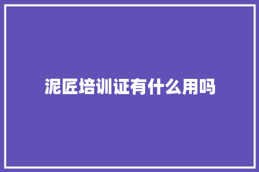 泥匠培训证有什么用吗 工作总结范文