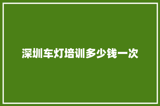 深圳车灯培训多少钱一次