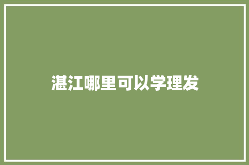 湛江哪里可以学理发