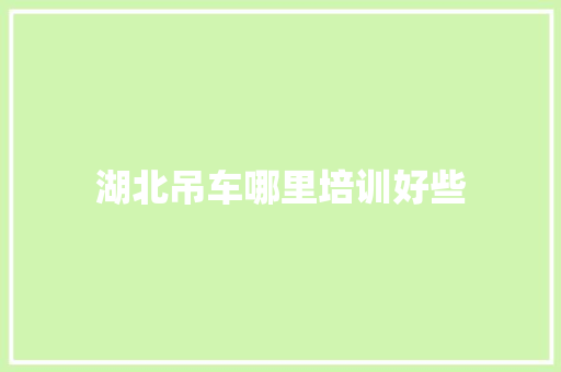 湖北吊车哪里培训好些 报告范文