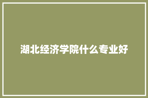 湖北经济学院什么专业好