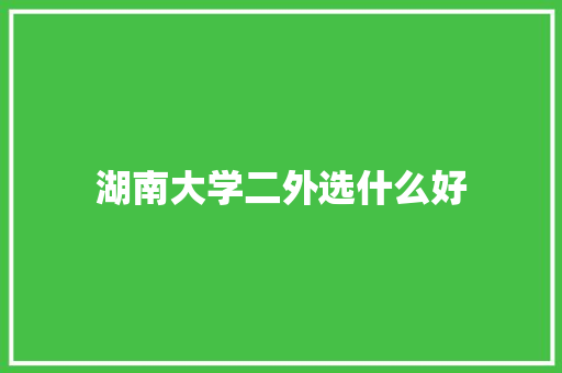 湖南大学二外选什么好