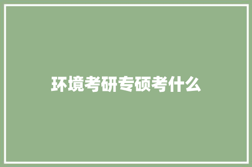 环境考研专硕考什么 报告范文