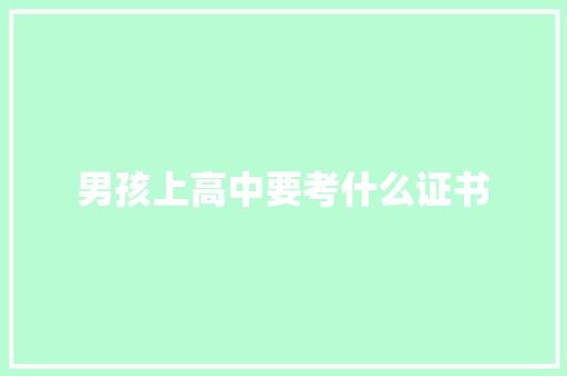 男孩上高中要考什么证书 论文范文