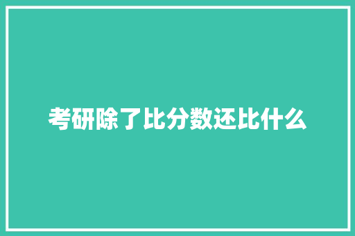 考研除了比分数还比什么