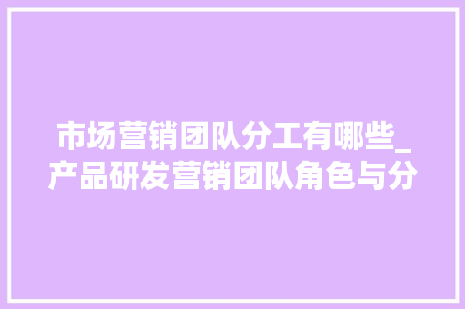 市场营销团队分工有哪些_产品研发营销团队角色与分工案例