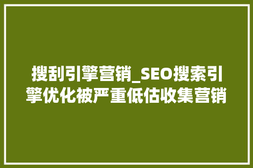 搜刮引擎营销_SEO搜索引擎优化被严重低估收集营销核心技能 学术范文