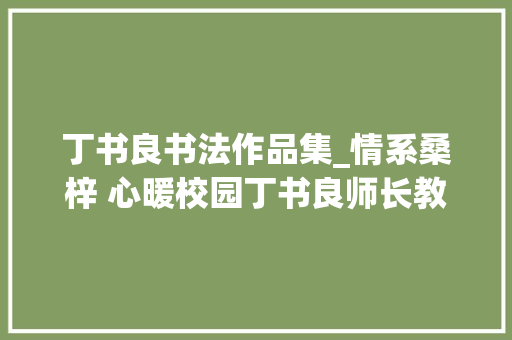 丁书良书法作品集_情系桑梓 心暖校园丁书良师长教师书画作品捐赠典礼举行